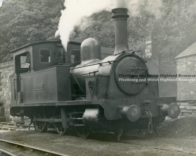 Amalthaea on the Padarn Railway.